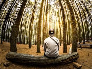 Are The Best Things In Life Free?