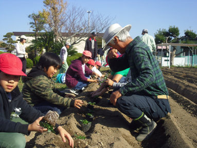 応援する会の皆さんと花壇の苗植え