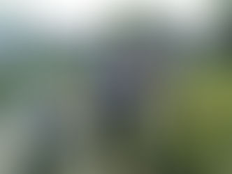 PTAクリーン活動(5月21日)