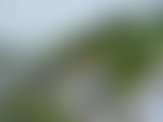 太田川クリーン活動