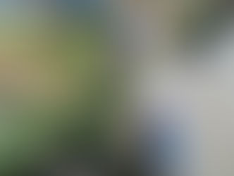 ミニトマトの実ができた!