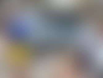 Lincoln Park Food Distribution Ministry Lincoln Park Holiness Church blesses some of the residents a