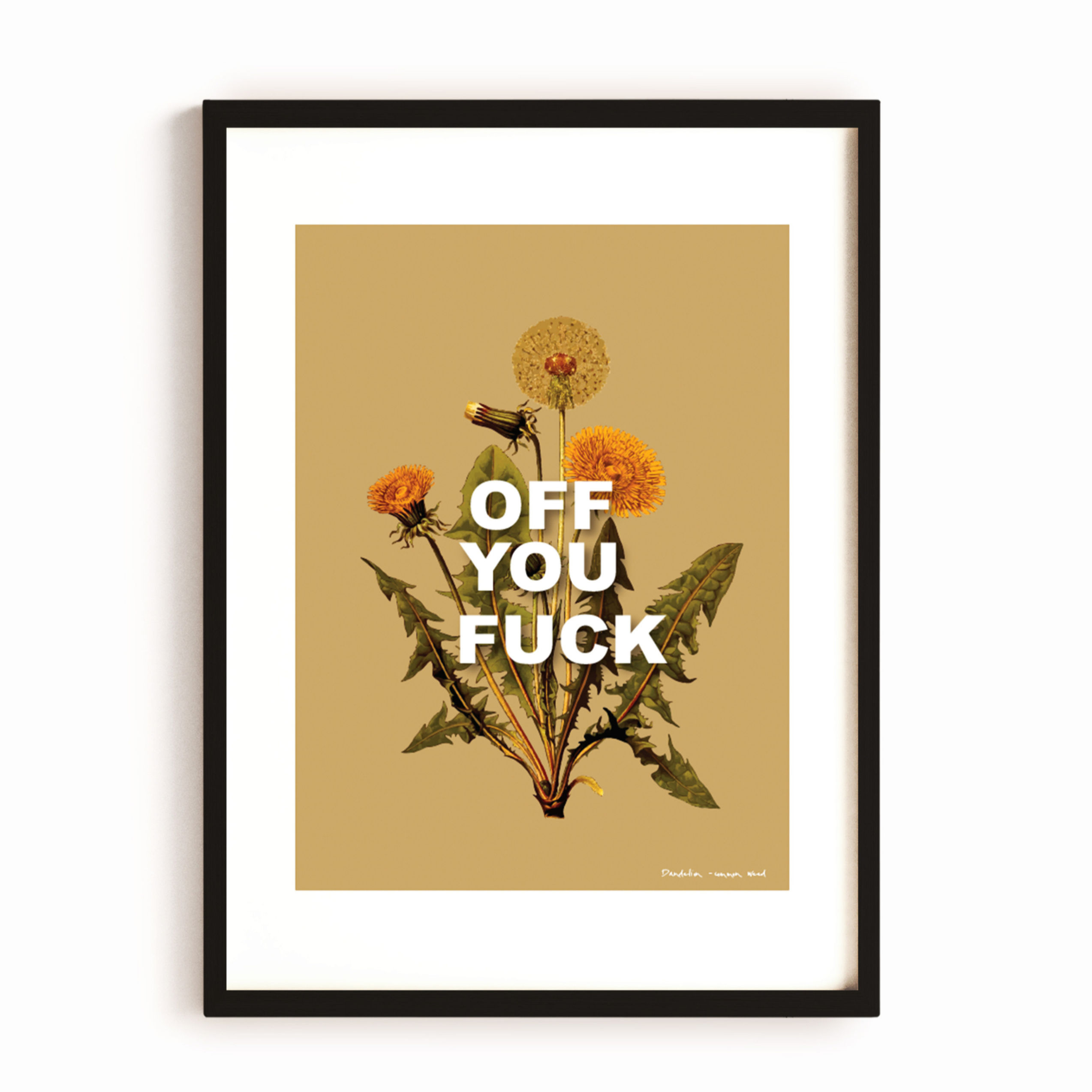 OFF YOU FUCK - Ochre