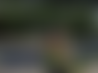 Speeding on Doris Ave