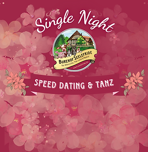 Single Night nur Logo.png