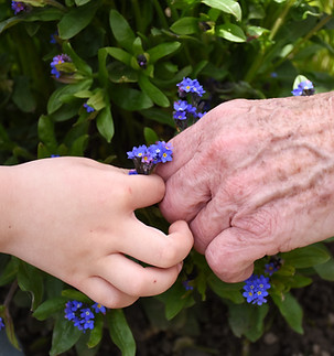 Hände Kind und Seniorin