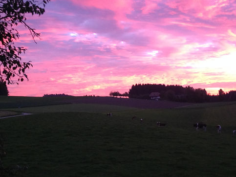 2013-10-18 18.49.07.jpg