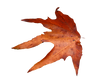 739e66a1-a130-4a14-87a0-8ba65bbcaaaf.png