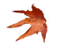 739e66a1-a130-4a14-87a0-8ba65bbcaaaf.png