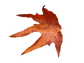 739e66a1-a130-4a14-87a0-8ba65bbcaaaf.png