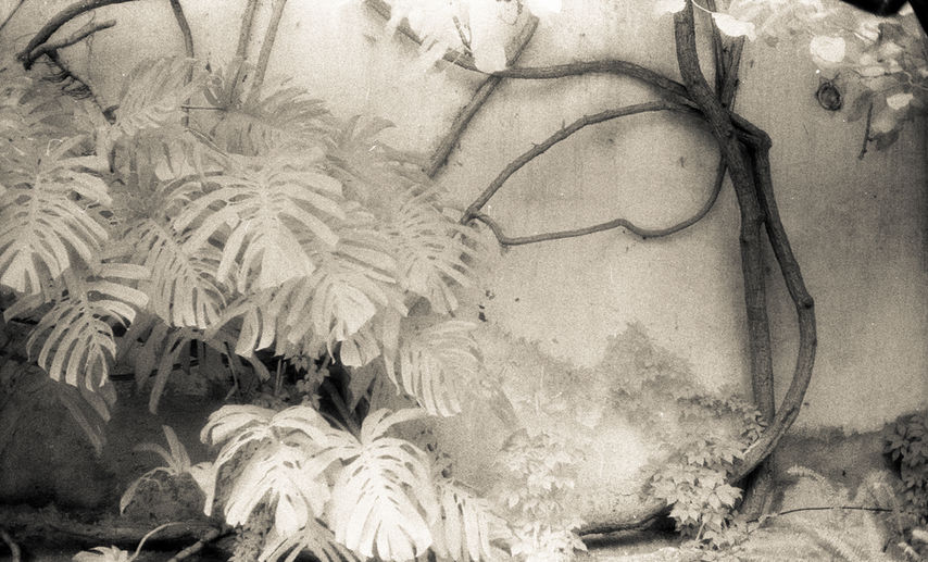 20140718-Negatives-Scanned---66.jpeg