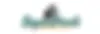 superpoochwebheader_blue.webp