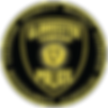 company1.png