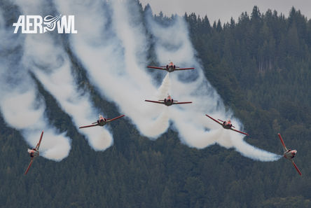 <p class="font_8">The Spanish Patrulla Águila in their Casa C-101 Aviojets performing the split during the AirPower24 in Zeltweg, Austria.</p>