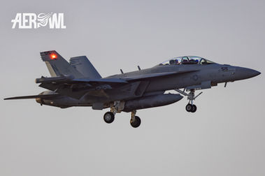 <p class="font_8">Landing of a Boeing EA-18 Growler (F/A-18F Hornet) after its evening air display of the &nbsp;Sun´n Fun 2025 in Lakeland, Florida.</p>