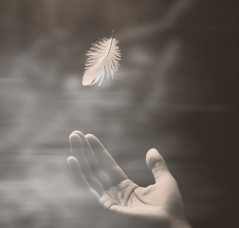 Black and white image of a hand reaching out to catch a floating feather