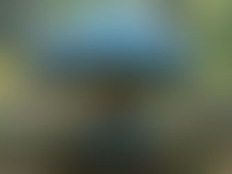 Hermetic Science and Psychedelics: A Beginner’s Guide through the Lens of Glass Tree