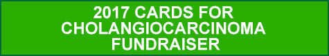 2017Card-title