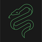 06 - slytherin.png