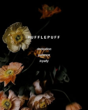 3 - hufflepuff.jpg
