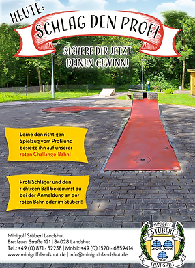 Schlag den Profi