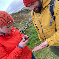 Looking at a Roman coin