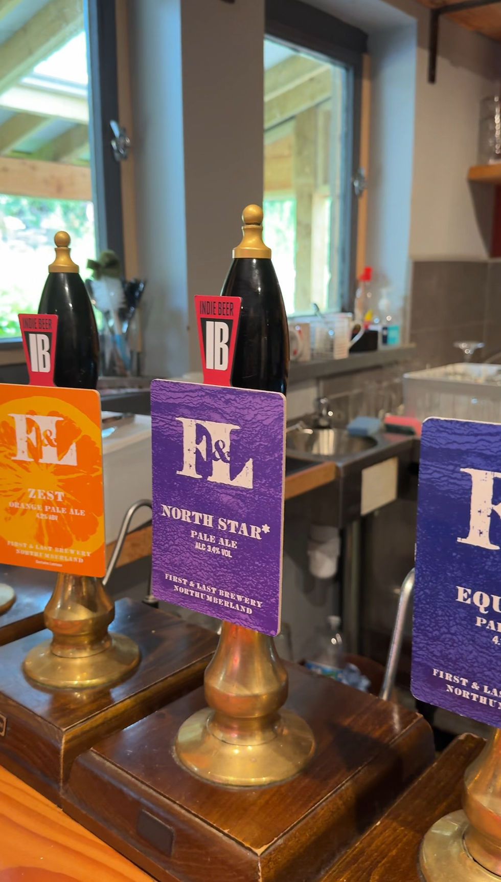 Beer taps with labels: Zest, North Star, and Equinox in a cozy bar setting. Bright, colorful designs, natural light from the window.