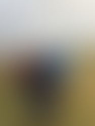 Group walks along Hadrian's Wall on a cloudy day, Women Walk the Wall. curiuscompass