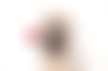 LA SAINT VALENTIN DES TOUTOUS