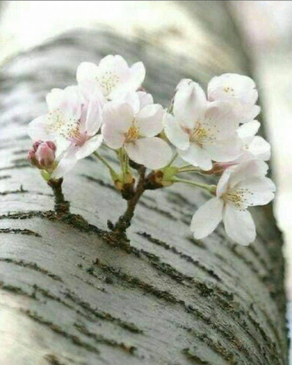 Screenshot_20230306-142233_WhatsApp_edited.jpg