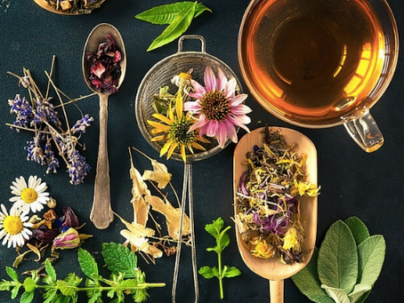 12 TOP HERBS TO BOOST YOUR IMMUNE SYSTEM NATURALLY