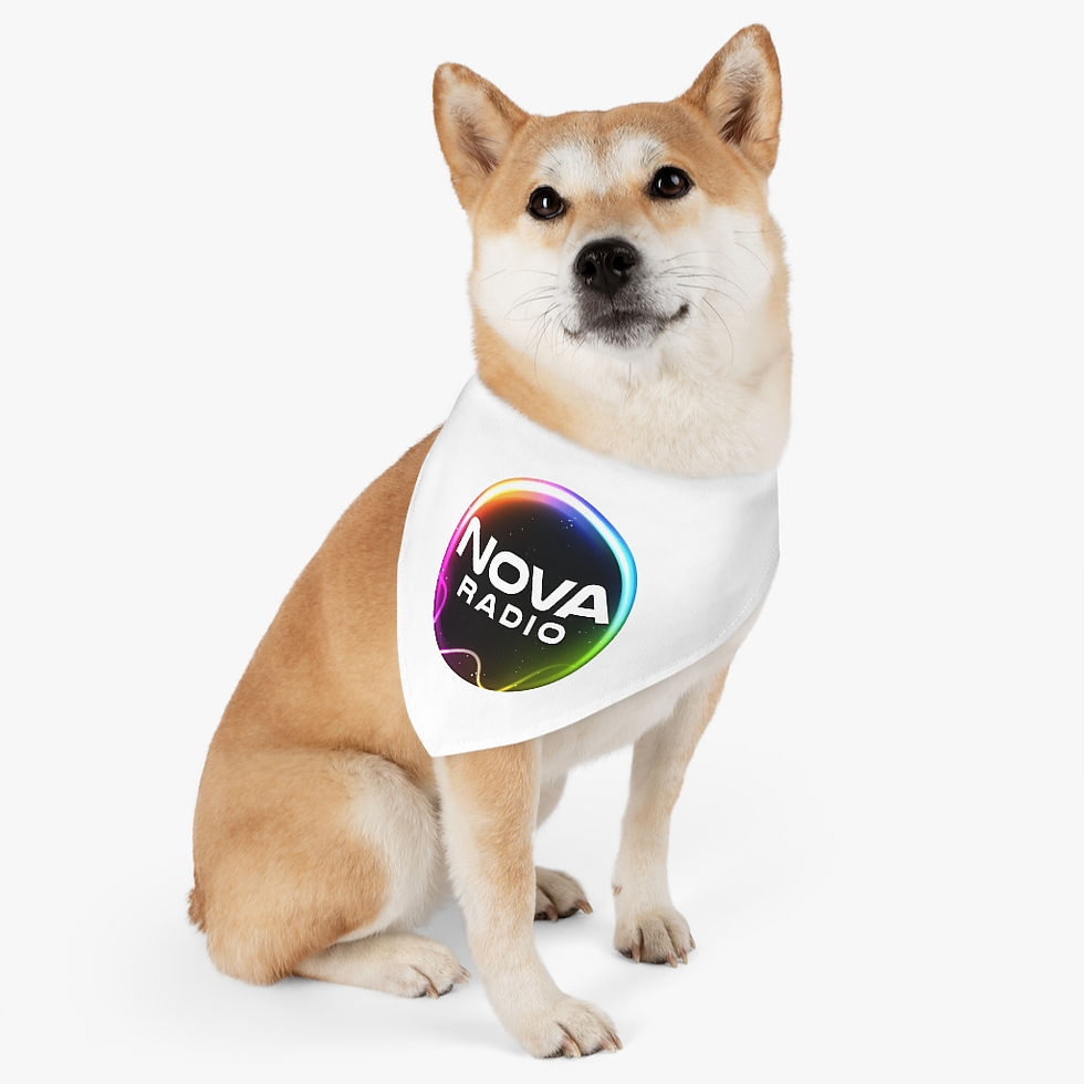 Thumbnail: Pet Bandana Collar