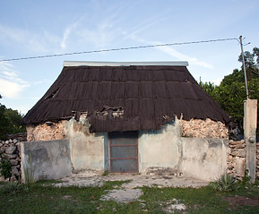 IMG_1779.jpg