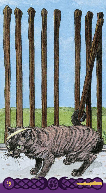 Miniaturbild: Le tarot des chats païens 