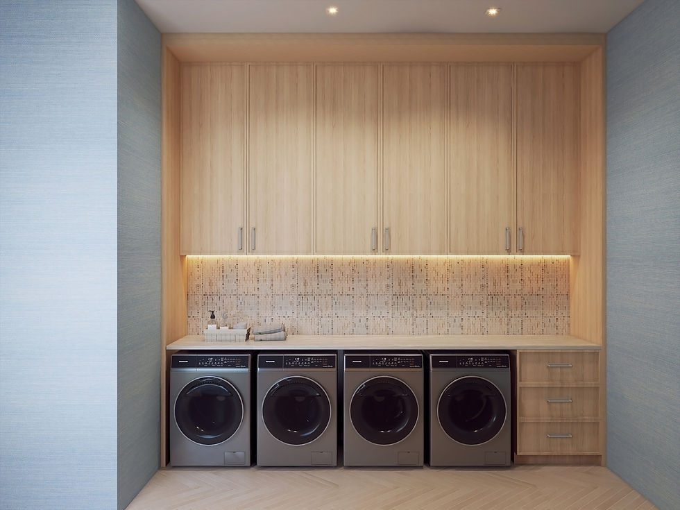 LAUNDRY 3.jpg