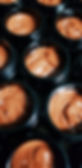 French Red Clay Masque promo.jpg