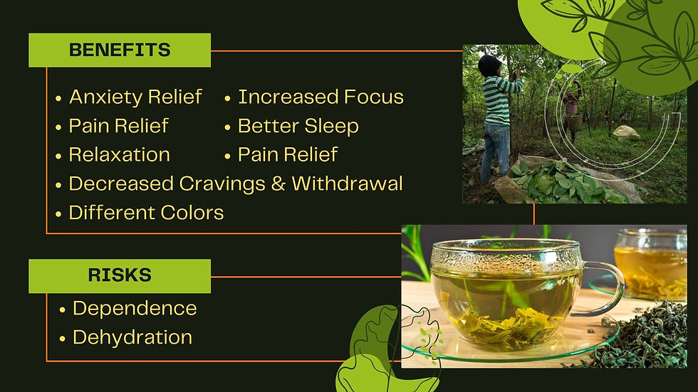 kratom effects