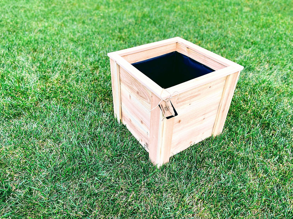 Thumbnail: 17.5”x 17.5”x 18” Square Horizontal Cedar Planter with liner