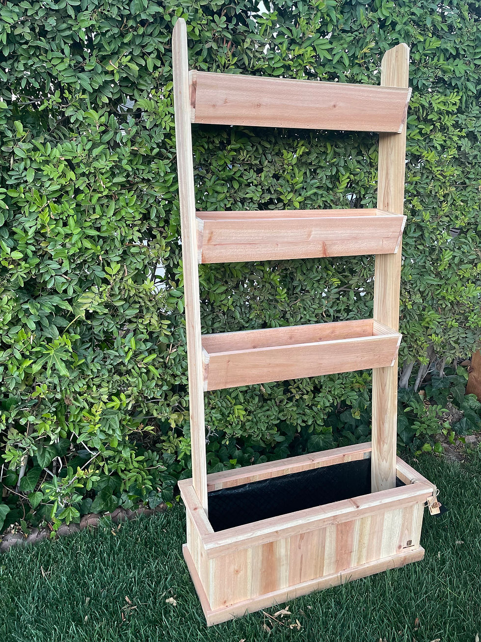 Thumbnail: Planter Box with planter ladder