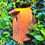 Thumbnail: Small cedar bird box | Bird House | Bird engraving