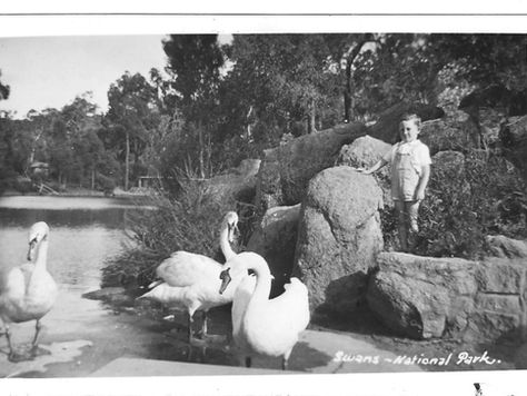 John Forrest National Park