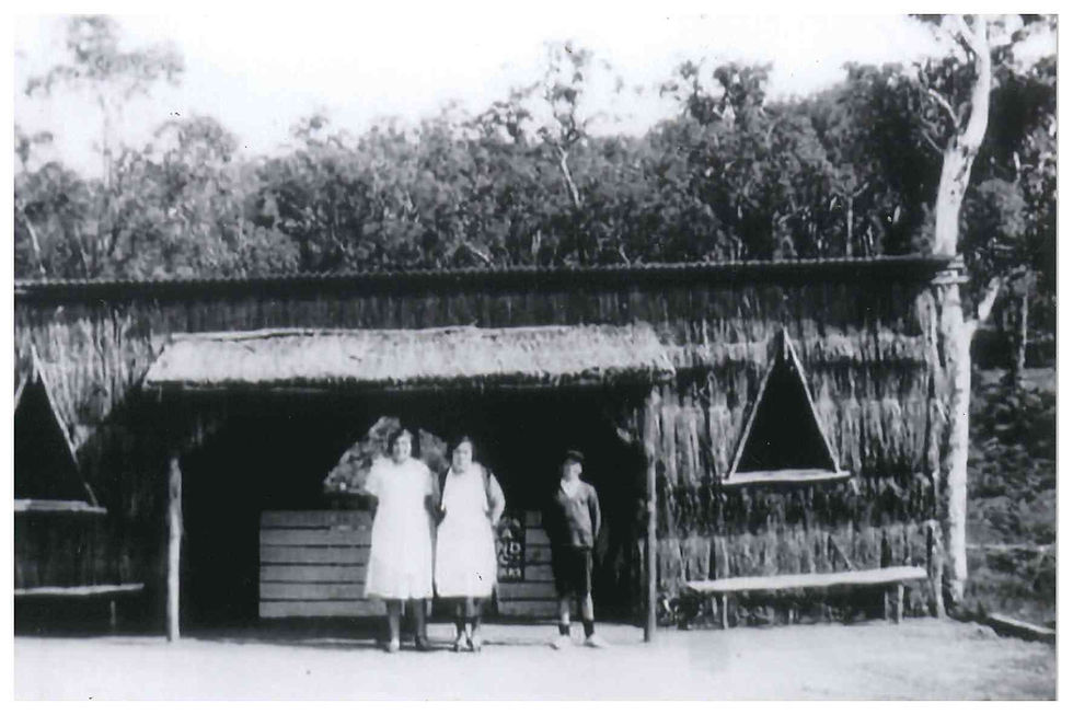 John Forrest National Park Tea Rooms built of brushwood by the sustenance workers c 1932