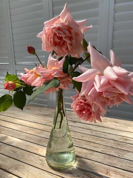 The Woodside Gate House Rose