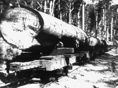Lion Mill Station 1901. Second from left is Station Master John Arscott