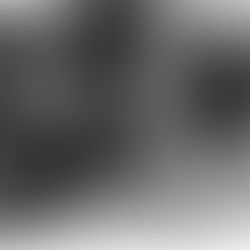 The Year of The Horse