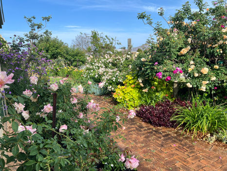 Managing Your Garden in an Eco Friendly Way