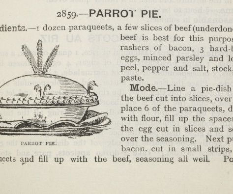 Parrot Pie Anyone. Anyone? 