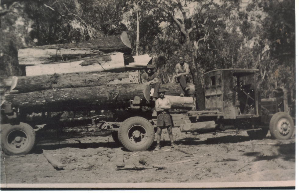 One of the log trucks on an old bush track in the Sawyers Valley area in 1930s. The truck is carrying jarrah logs. 2002.194