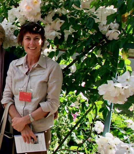 Vale Gentle Anne