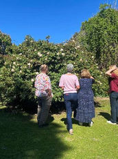 Karen Grover's Beautiful Garden